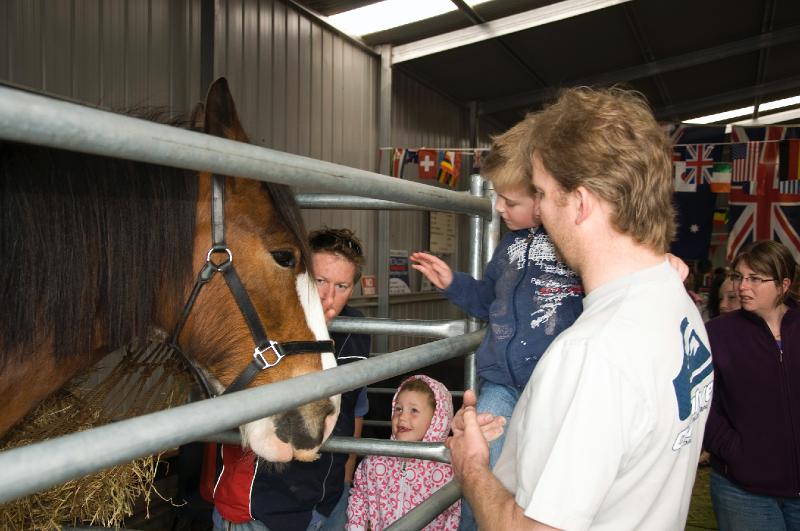 geelong show 08_6.jpg